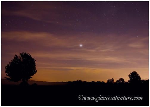 Night+Sky+with+Jupiter.jpg