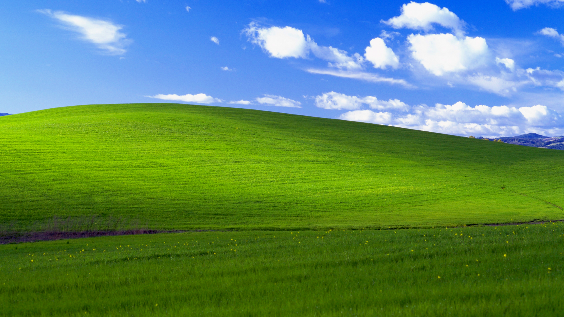 Windows-Xp-Bliss-Wallpaper.png