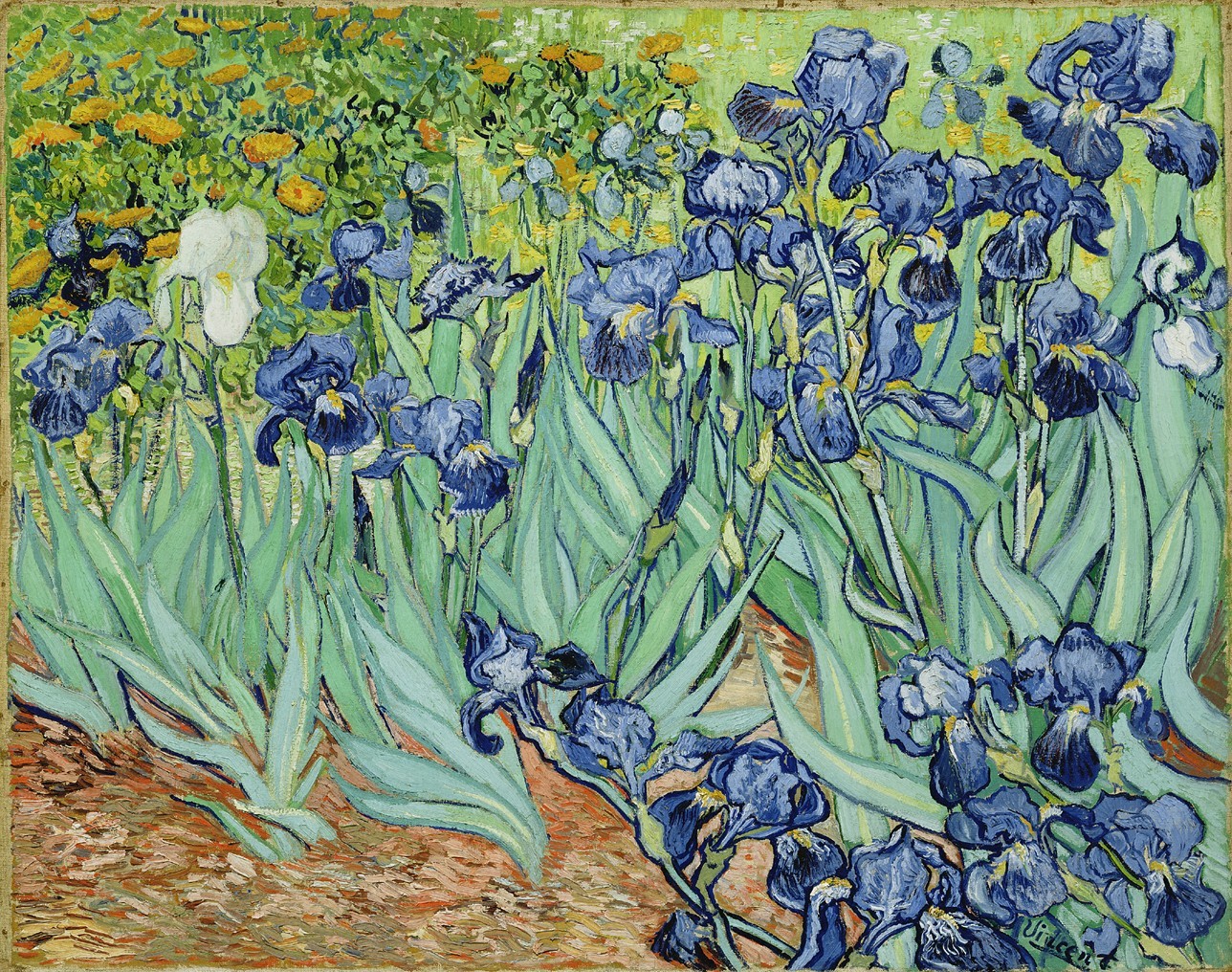 VanGoghIrises2.jpg