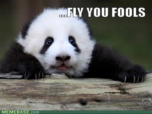 flyyoufools.jpg