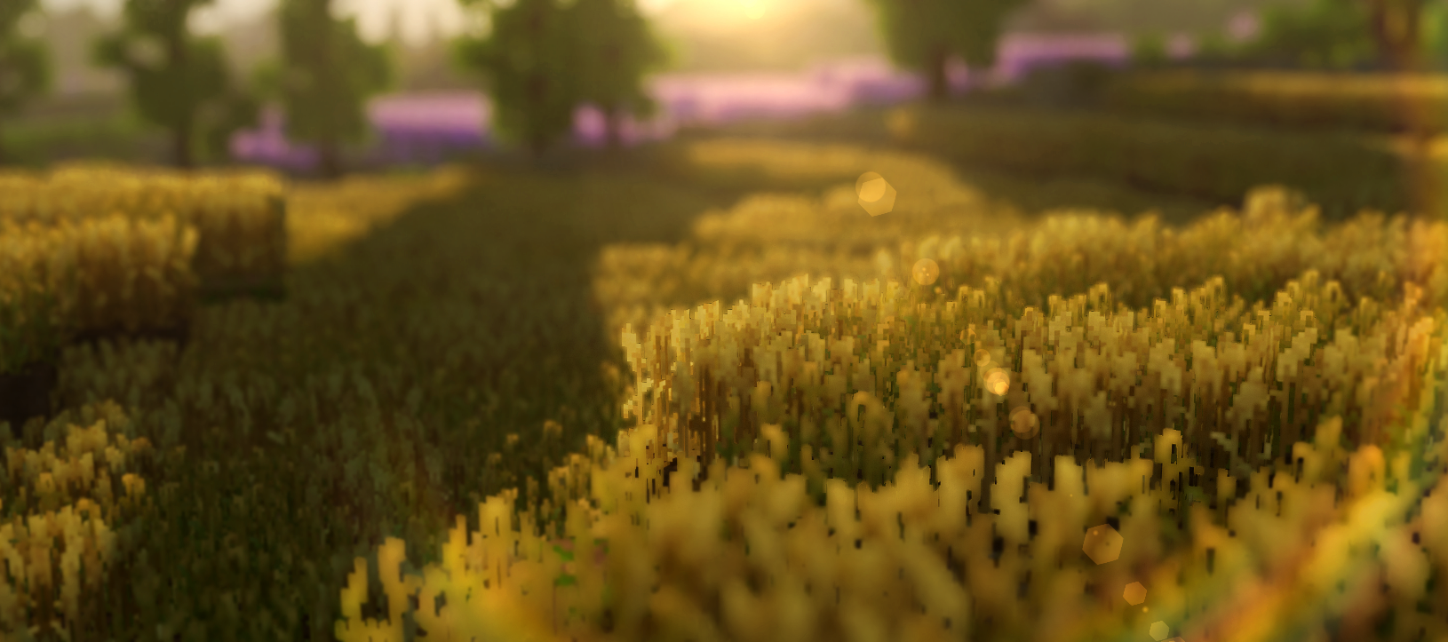 Wheat_Firefly956.png