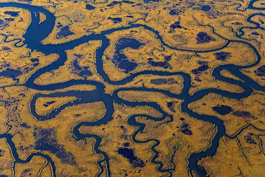 cape-may-salt-marsh-aerial-ingo-arndt.png