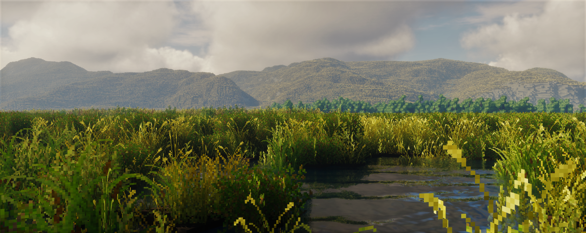 Rogue_Scholar_Dead_Marshes_2.png
