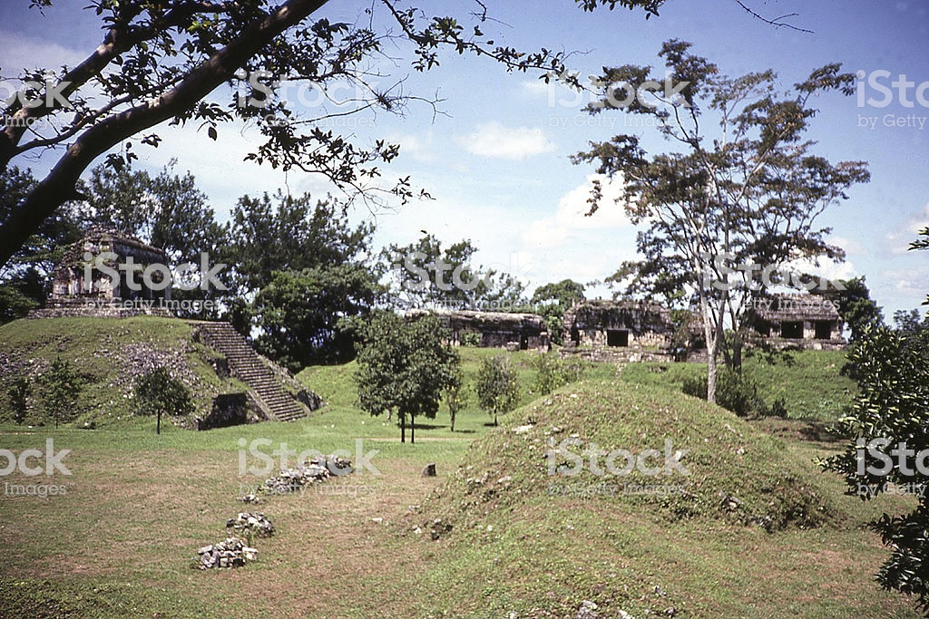 unexcavated-mounds-in-palenque-ruins-tabasco-mexico-picture-id513166379