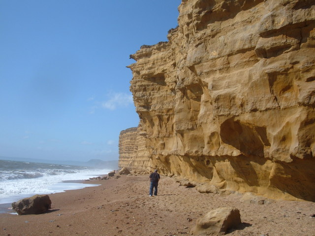 Sandstone_Cliffs,_Burton_Bradstock_-_geograph.org.uk_-_234056.jpg