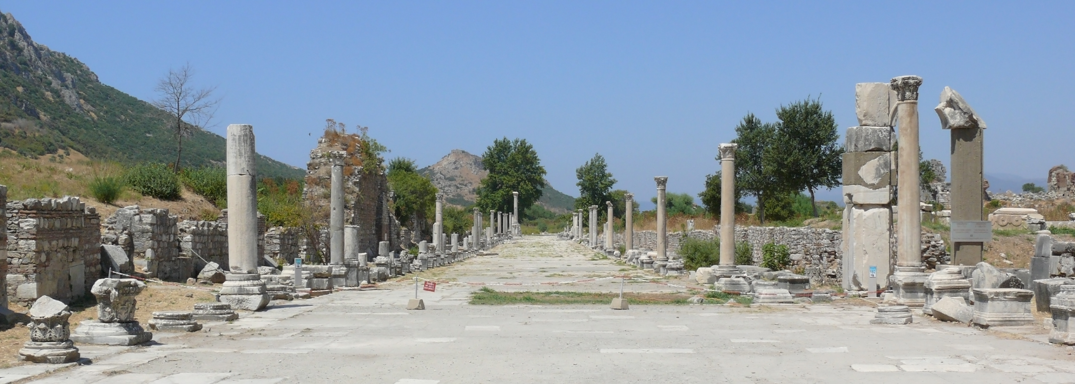 Ephesus_street_scene.jpg